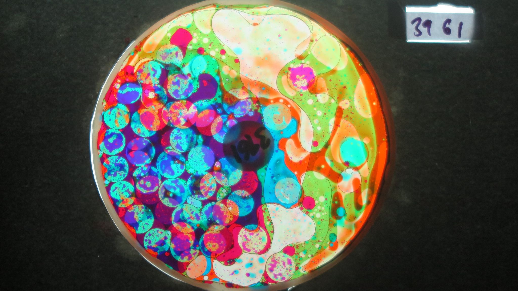 BV3961 bubble vision oil wheel